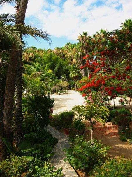 Hacienda Todos Los Santos Экстерьер фото